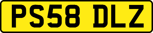PS58DLZ
