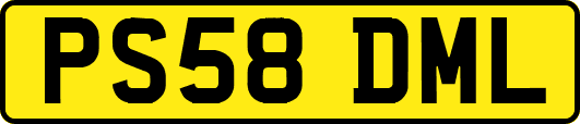 PS58DML