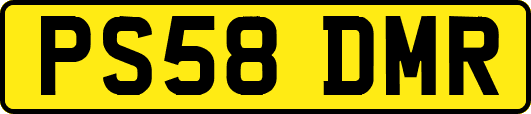 PS58DMR