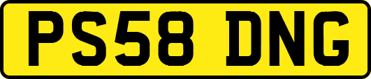 PS58DNG