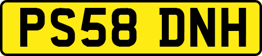 PS58DNH