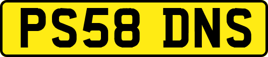 PS58DNS