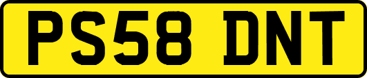 PS58DNT