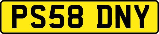 PS58DNY