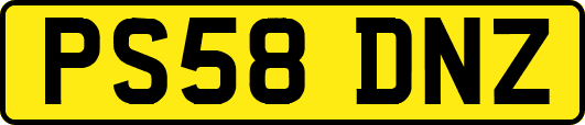 PS58DNZ