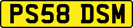 PS58DSM