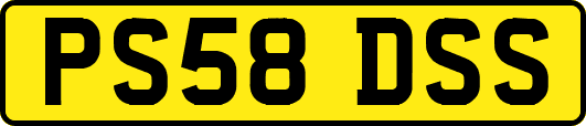PS58DSS