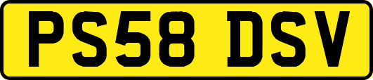 PS58DSV