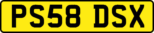 PS58DSX