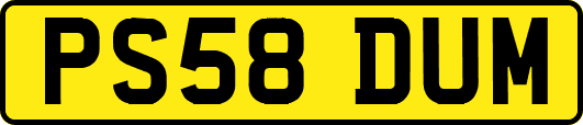 PS58DUM