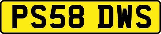 PS58DWS