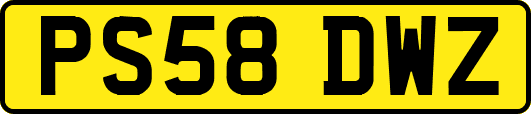 PS58DWZ