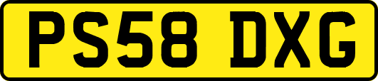 PS58DXG