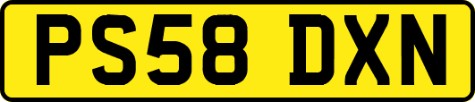PS58DXN