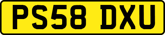 PS58DXU