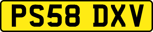 PS58DXV