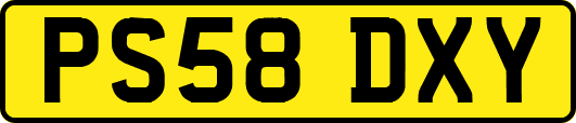 PS58DXY