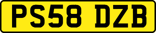 PS58DZB