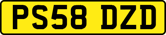 PS58DZD