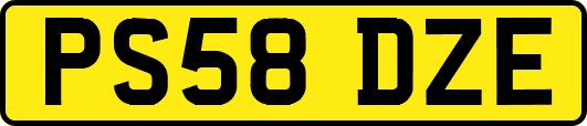PS58DZE