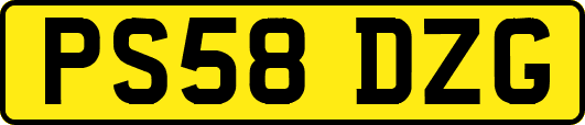 PS58DZG