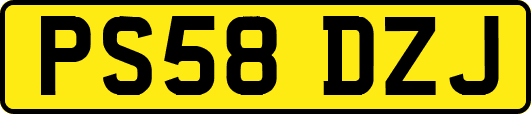 PS58DZJ