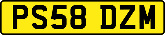 PS58DZM