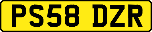 PS58DZR