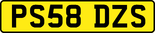 PS58DZS