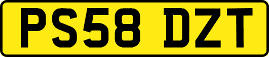 PS58DZT