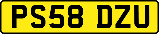 PS58DZU