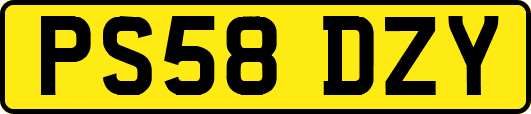 PS58DZY