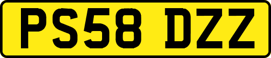 PS58DZZ