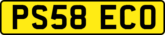 PS58ECO