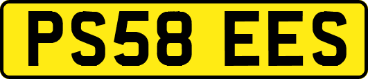 PS58EES