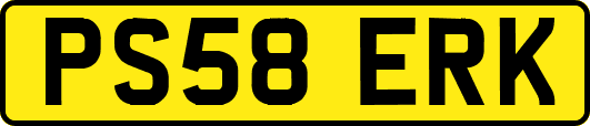 PS58ERK