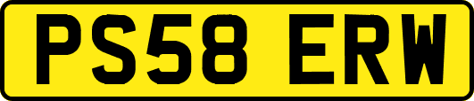 PS58ERW