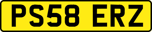 PS58ERZ