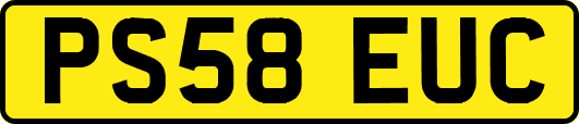 PS58EUC