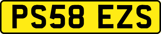 PS58EZS