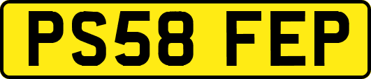 PS58FEP