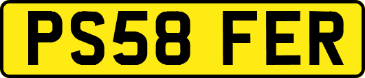 PS58FER