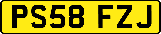 PS58FZJ