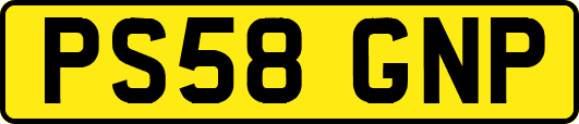PS58GNP