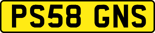 PS58GNS
