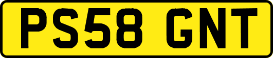 PS58GNT