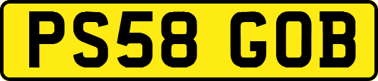PS58GOB