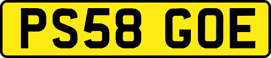 PS58GOE