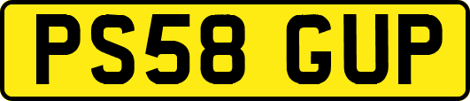 PS58GUP