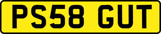 PS58GUT